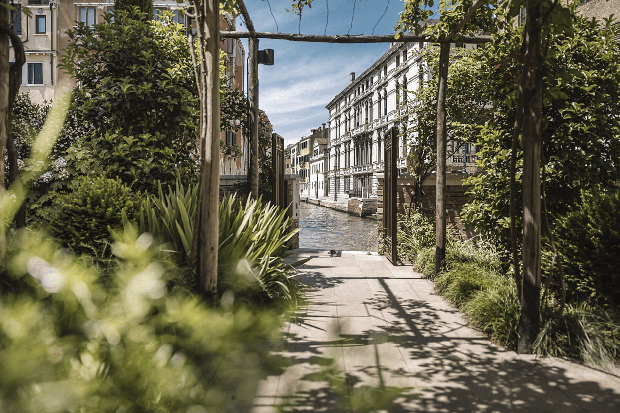 Venice View